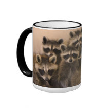 Hög av raccoonsmug.en