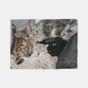 Hög för Bengal kattkattunge Fleecefilt