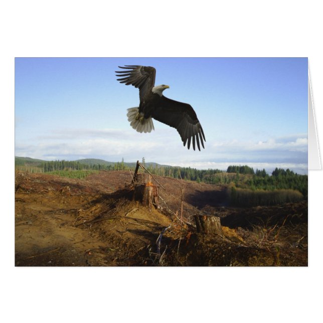 Hög Hälsningskort (Framsidan Horizontal)