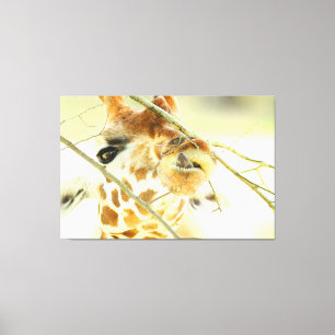 HÖG HOPE 40 x 60 Canvastryck