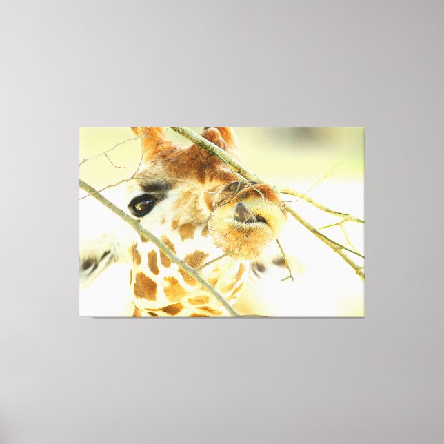 HÖG HOPE 40 x 60 Canvastryck (Framsida)