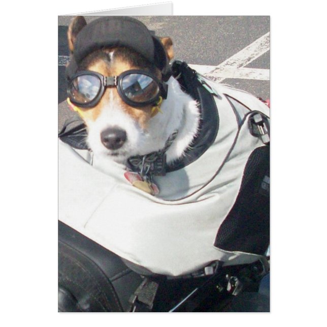 Hog Hund Hälsningskort (Framsidan)