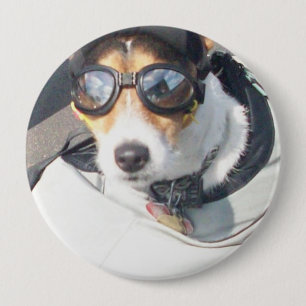 Hog Hund-knapp Knapp