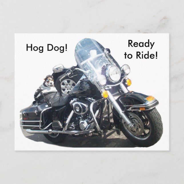 Hog Hund - Redo till Ride! Vykort (Framsida)