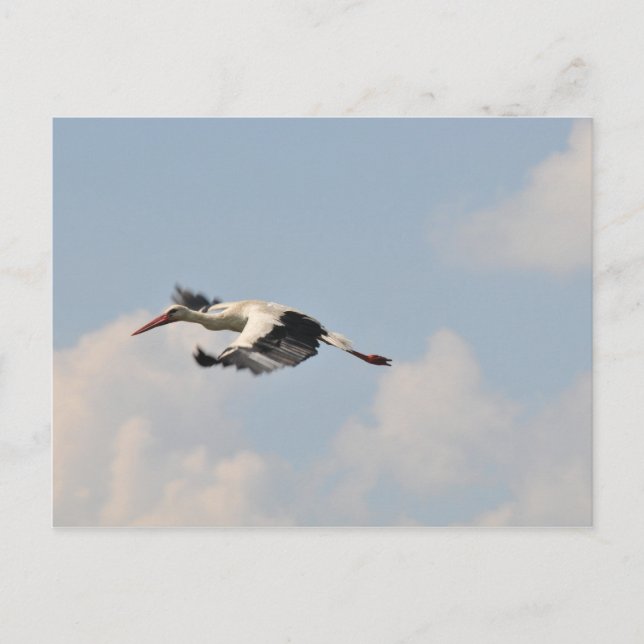 Hög i himlar vykort (Framsida)