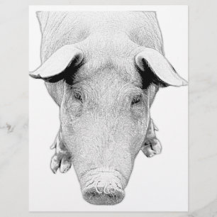 Hog in Black and White