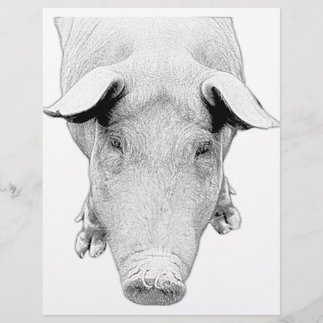 Hog in Black and White (Framsida)