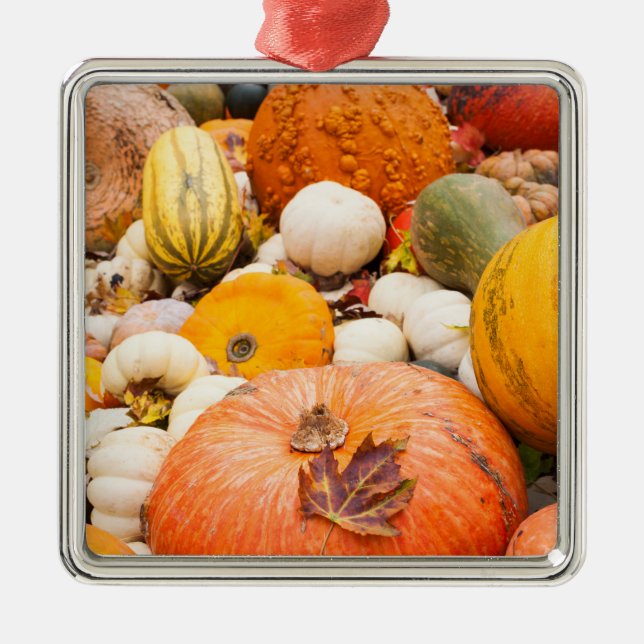 Hög med pumpor och squash julgransprydnad metall (Framsidan)