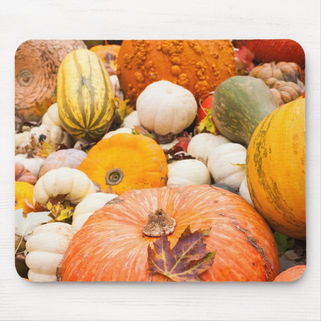 Hög med pumpor och squash musmatta (Framsidan)