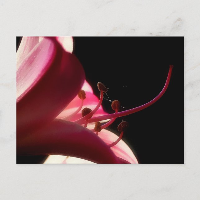 Hög och personlig vykort (Framsida)