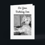 ****HÖG TECH**** BIRTHDAY ÖNSKEMÅL SON FRÅN WESTIE KORT<br><div class="desc">****HÖG TECH**** BIRTHDAY ÖNSKEMÅL FRÅN DEN HÄR WESTIEN FÖR TECHIE ***SON***!!!!!</div>