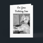 ****HÖG TECH**** BIRTHDAY ÖNSKEMÅL SON FRÅN WESTIE KORT<br><div class="desc">****HÖG TECH**** BIRTHDAY ÖNSKEMÅL FRÅN DEN HÄR WESTIEN FÖR TECHIE ***SON***!!!!!</div>