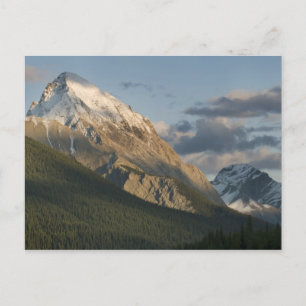 Hög topp nära Maligne Lake, Jasper National Vykort