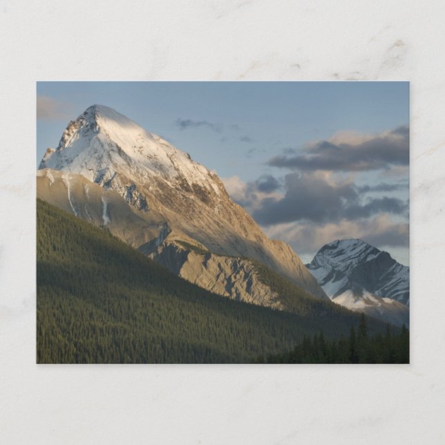 Hög topp nära Maligne Lake, Jasper National Vykort (Framsida)
