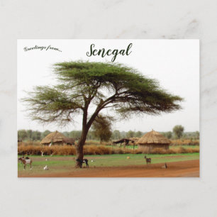 Hög väg mellan Ouro Sogui och Orkadiéré Senegal Vykort
