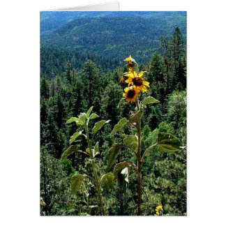 Hög väg till Taos Hälsningskort