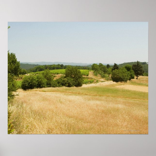 Hög vinkel sikt över fält, Siena-provinsen, 2 Poster (Framsidan)