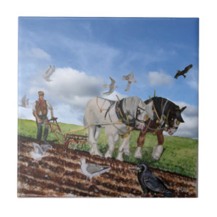 Höga hästar som plöjs i mars kakelplatta