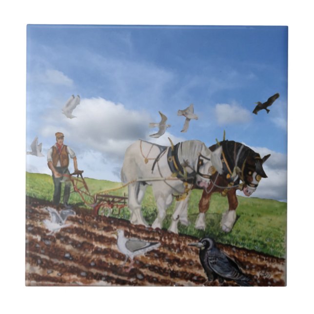 Höga hästar som plöjs i mars kakelplatta (Framsidan)