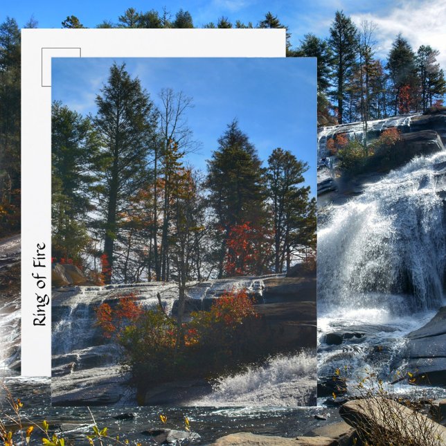 Höga höftfallsfoto för höstvåg (NC) Vykort (Skapare uppladdad)