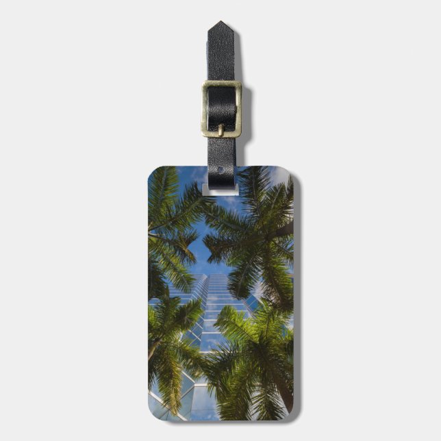 Höga stiga upp byggnad bagagebricka (Vertikal Framsida)