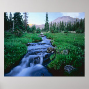 HÖGA UINTAS WILDERNESS, UTAH. Stillwater Fork Poster