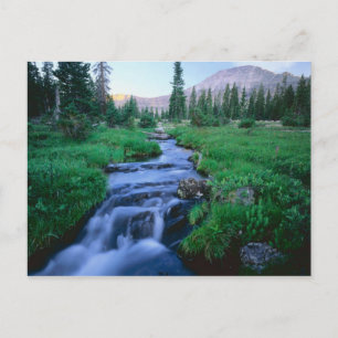 HÖGA UINTAS WILDERNESS, UTAH. Stillwater Fork Vykort