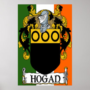 Hogan Jacka av Arm Irish Flagga Print Poster