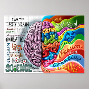 Höger Broin Lämnat Brain Poster