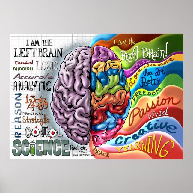 Höger Broin Lämnat Brain Poster (Framsidan)