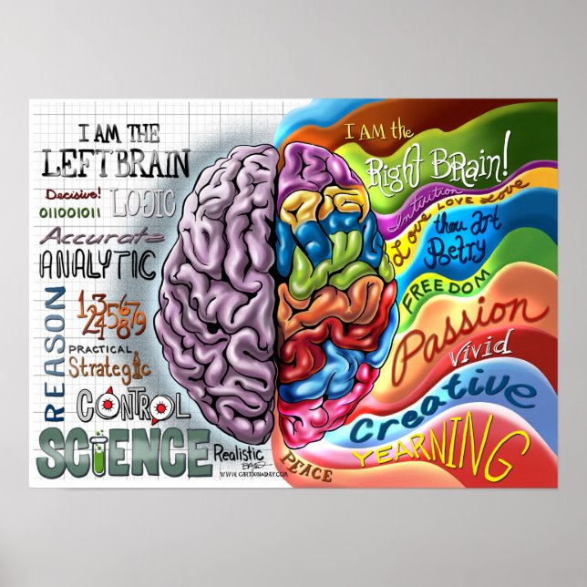 Höger Broin Lämnat Brain Poster (Framsidan)