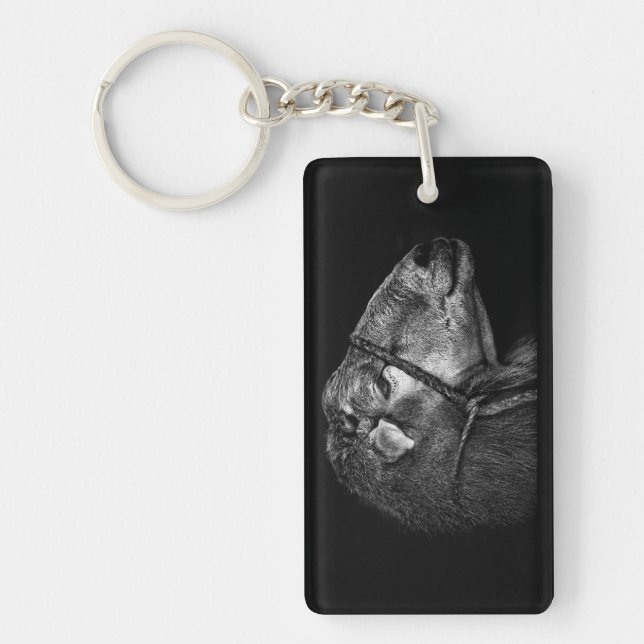 höger efter (Framsidan)