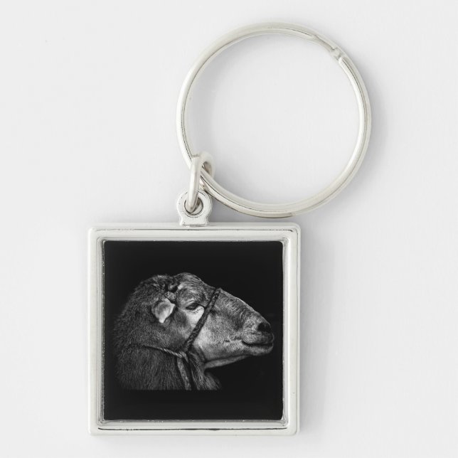 höger efter fyrkantig silverfärgad nyckelring (Framsidan)