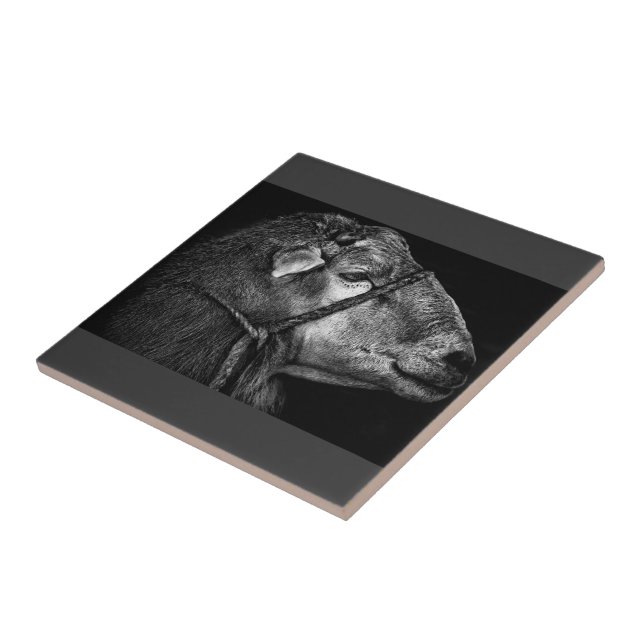 höger efter kakelplatta (Sidan)