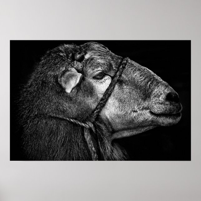 höger efter poster (Framsidan)