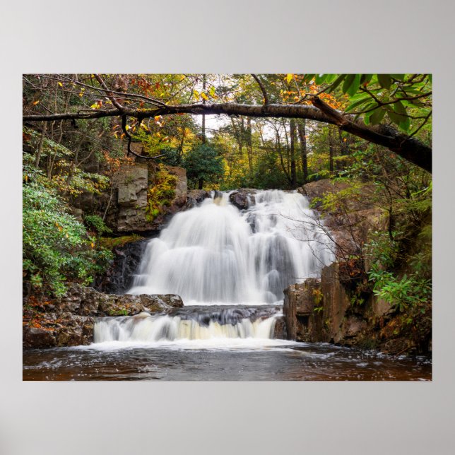 Höger hösten 24" x 18" poster (Framsidan)