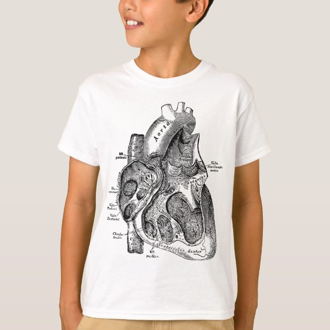Höger - kammare i Human Heart Anatomy Tee (Framsida)