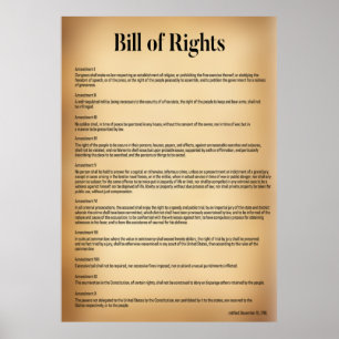 höger USA:s konstitution Poster