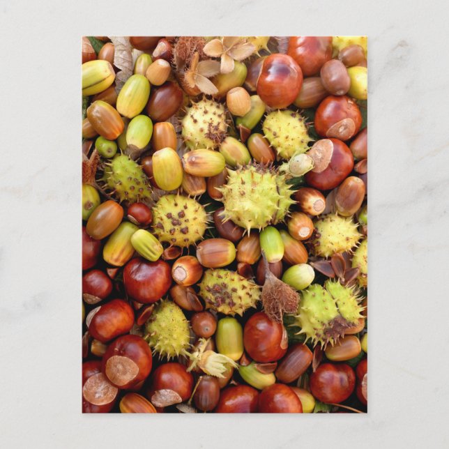 Högerbakgrund Vykort (Framsida)