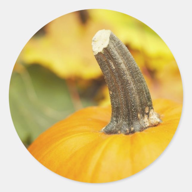 Högerdesign Runt Klistermärke (Framsida)