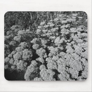 Högerhörning i Sedum (B&W) Musmatta
