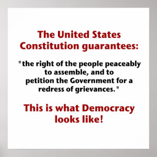 Högerna att samlas - hur demokratin ser ut poster