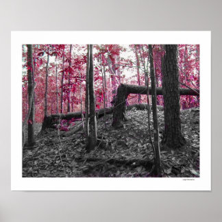 Högernas vinklar poster