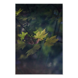 Högerreflektion — fototryck