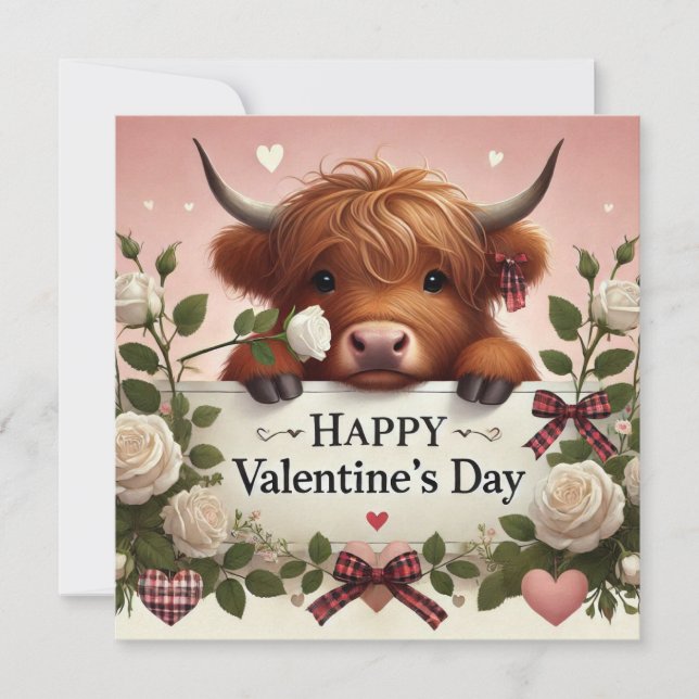 Högland Cow Valentine med Vit ros Julkort (Framsida)