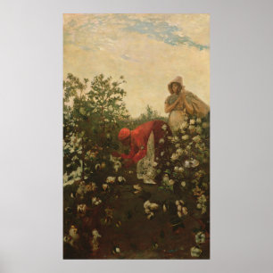 Höglandbomull Poster