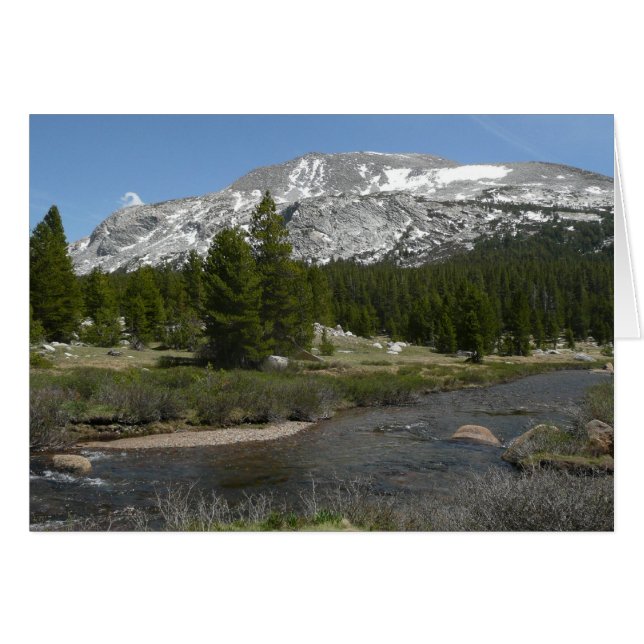 Höglands bergsström II vid Yosemite Hälsningskort (Framsidan Horizontal)