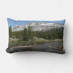 Höglands bergsström II vid Yosemite Lumbarkudde
