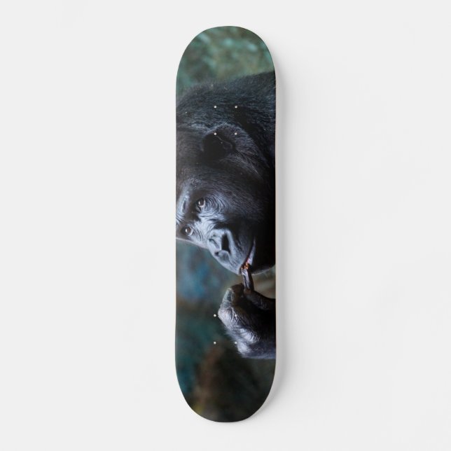 Höglands- gorilla - plockningtänder skateboard bräda 19,5 cm (Framsida)