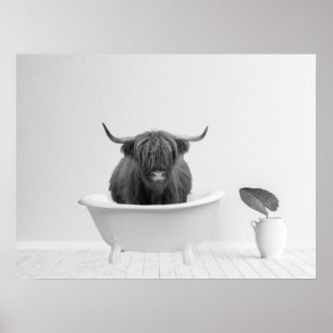 Höglands Ko Badkar Hem Horisontell Poster